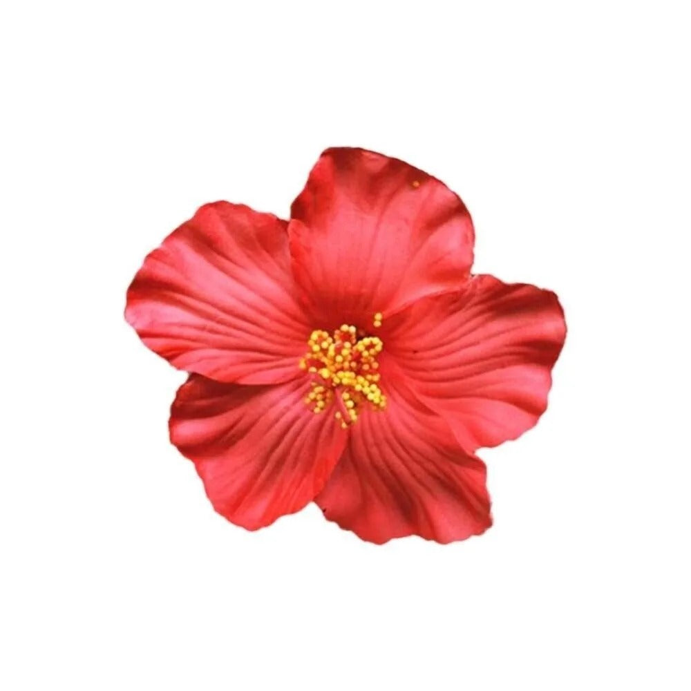 Pinces hawaïenne